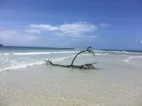 Cove House House 60 m2 Creekside Indian Ocean فنادق في Shimoni