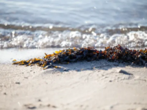 庫比克斯特蘭德酒店 斯勞厄爾瑟酒店