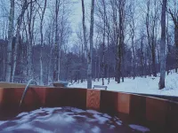 Mountain Forest Retreat w Cedar Hot Tub - Western Catskills 富蘭克林酒店