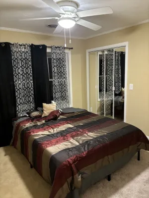 Private In town quiet retreat 12+ Downstairs Bonus Kitchen and walkout quarters.
