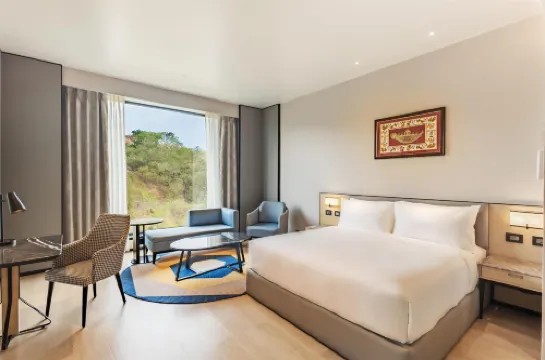 賈姆謝德布爾麗笙酒店