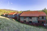 Ski in Out Access and Cozy Fireplace - Stunning Mountain Sanctuary Hotels in Mountain Village