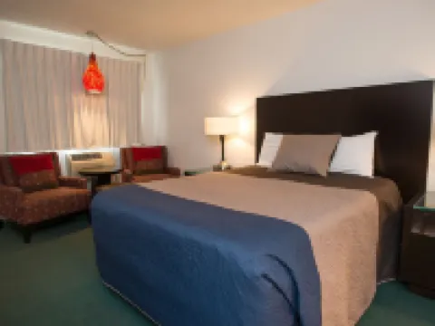 Cougar Land Motel Hotels in Pullman