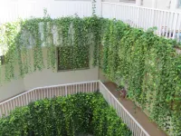 LeGreen Suite Penjernihan Hotels near Gelora Bung Karno Main Stadium