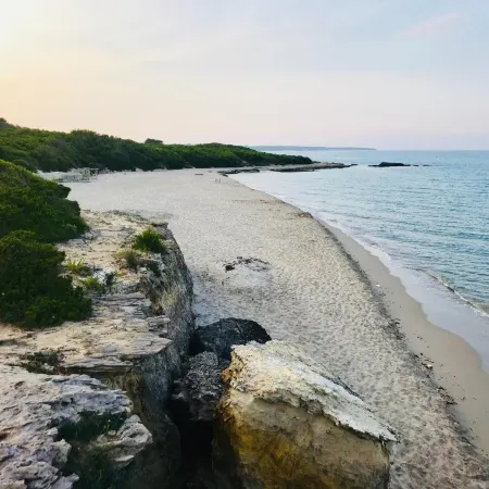 Tenuta Turchi