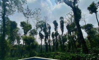 Machaan Wilderness Lodge Nagarahole