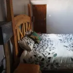 Mt. Kenya Riverside Retreat - Homestay