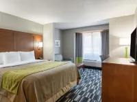 Quality Inn & Suites Ashland Near Kings Dominion Hotels in Ashland