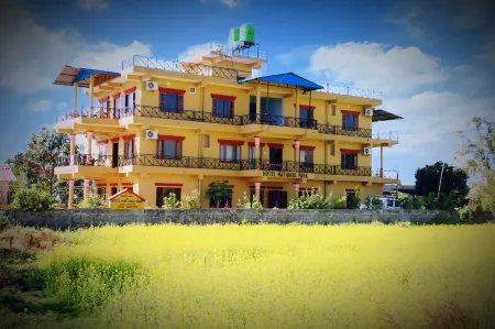 Hotel National Park Sauraha- Homely Stay and Peaceful Location with Jungle Safari Arrangements