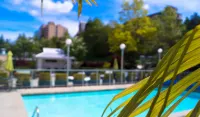 Executive Plaza Hotel & Conference Centre, Metro Vancouver - Pools