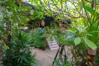 Ladear Angkor Boutique Hotel Các khách sạn gần CUS