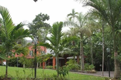 Pulse Suites at Villa Ronai Hotels in Stony Hill