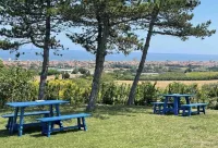 B&B Villa Alma Hotels in San Costanzo