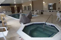 Comfort Inn & Suites Marion I-57 - spa