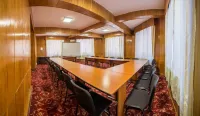 Hotel Rina Cerbul Hotels in Tesila