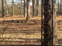 Cedar Grove Inn