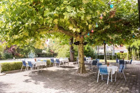 Hotel Restaurant Neuhaus Отели в г. Бругг