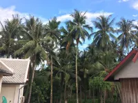 Soutikone 2 Guesthouse