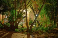 Foxwood House Boutique Hotel