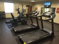 Comfort Inn & Suites Lynchburg Airport - University Area - Gym