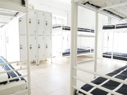 The 17 Party Hostel
