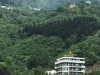 Voice Hotel Hotel di Maçka