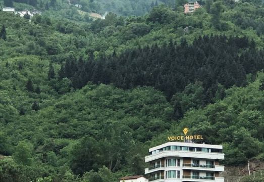 3. 보이스 호텔..