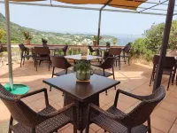 Hotel Ape Regina Hotels in Casamicciola Terme