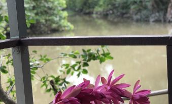 Nha Homestay
