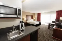 La Quinta Inn by Wyndham Clearwater Central Hotels in Safety Harbor