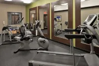 Holiday Inn Express & Suites Schulenburg by IHG - Gym