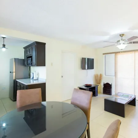 New Kingston Guest Apartment IV