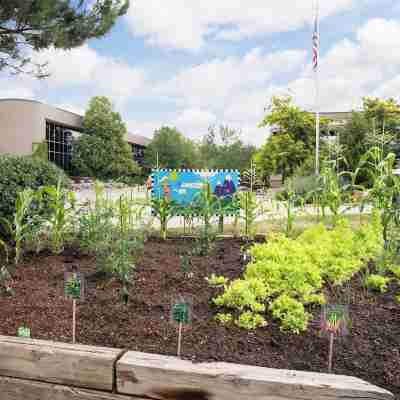Residence Inn Boulder Hotel Exterior