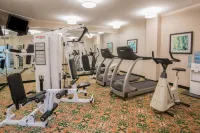 Staybridge Suites COLUMBUS-AIRPORT by IHG - gimnasio