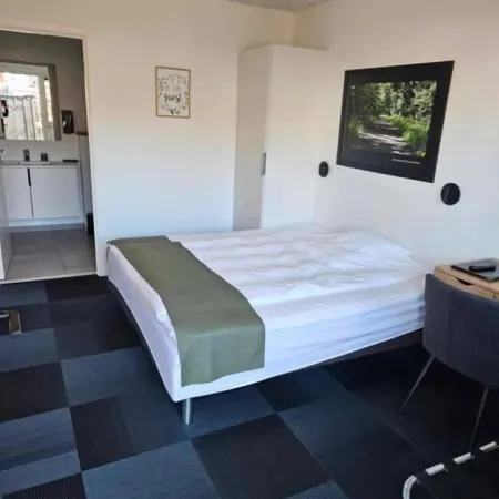 Hotel Phønix