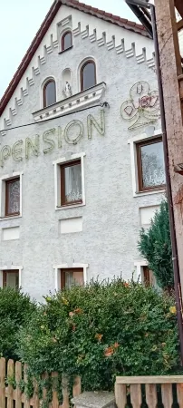 Pension U Dubu Отели в г. Франтишкови-Лазне