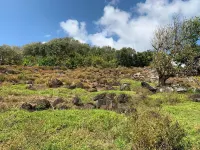 Apartment in Montagne Charlot with a stunning view of the lagoon Hotel di Rodrigues Island