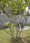 Avita Holiday Home