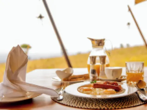 塞倫蓋蒂豪華度假村 塞倫蓋蒂酒店