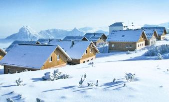 Chalet on Feuerkogel With Stunning Views