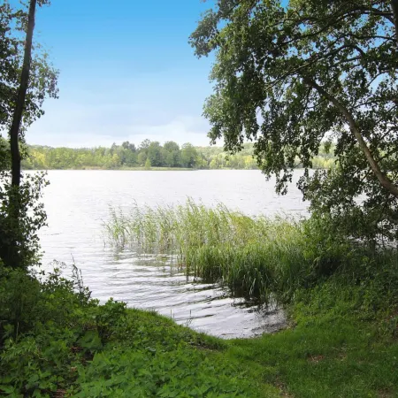 Ferienhaus in der Feldberger Seenlandschaft