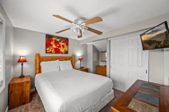 Indoor Pool Mountain Views Hot Tub Sauna Hotels in 