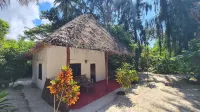 Evergreen Bungalows Hotels in Bwejuu