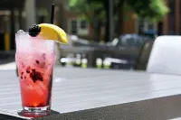 DoubleTree by Hilton Madison Downtown - bar