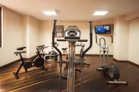 Armenia Hotel - gimnasio
