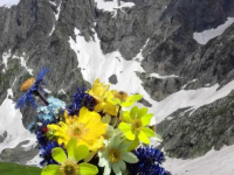 Hotel Neelgagan Hotels in Ganderbal