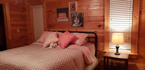 Wanderlust! Cozy 2-bedroom cabin with Mountain Views in lovely Murphy with WiFi