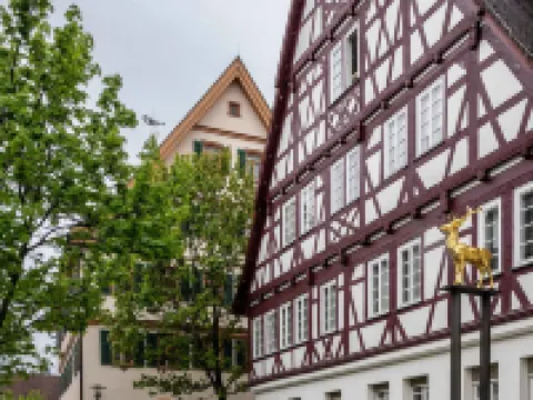 Limehome Metzingen Wilhelmstr Hotels in Metzingen