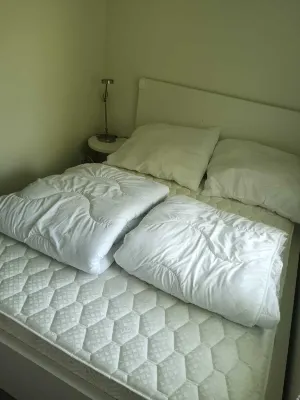 Neu Renoviertes Chalet in Den Osse, Browershaven, Zeeland Hotels near Brouws Museum