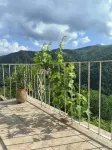 Appartement 35m² Avec Balcon vu sur la Nature ! Hotels in Sant'Andrea-di-Bozio